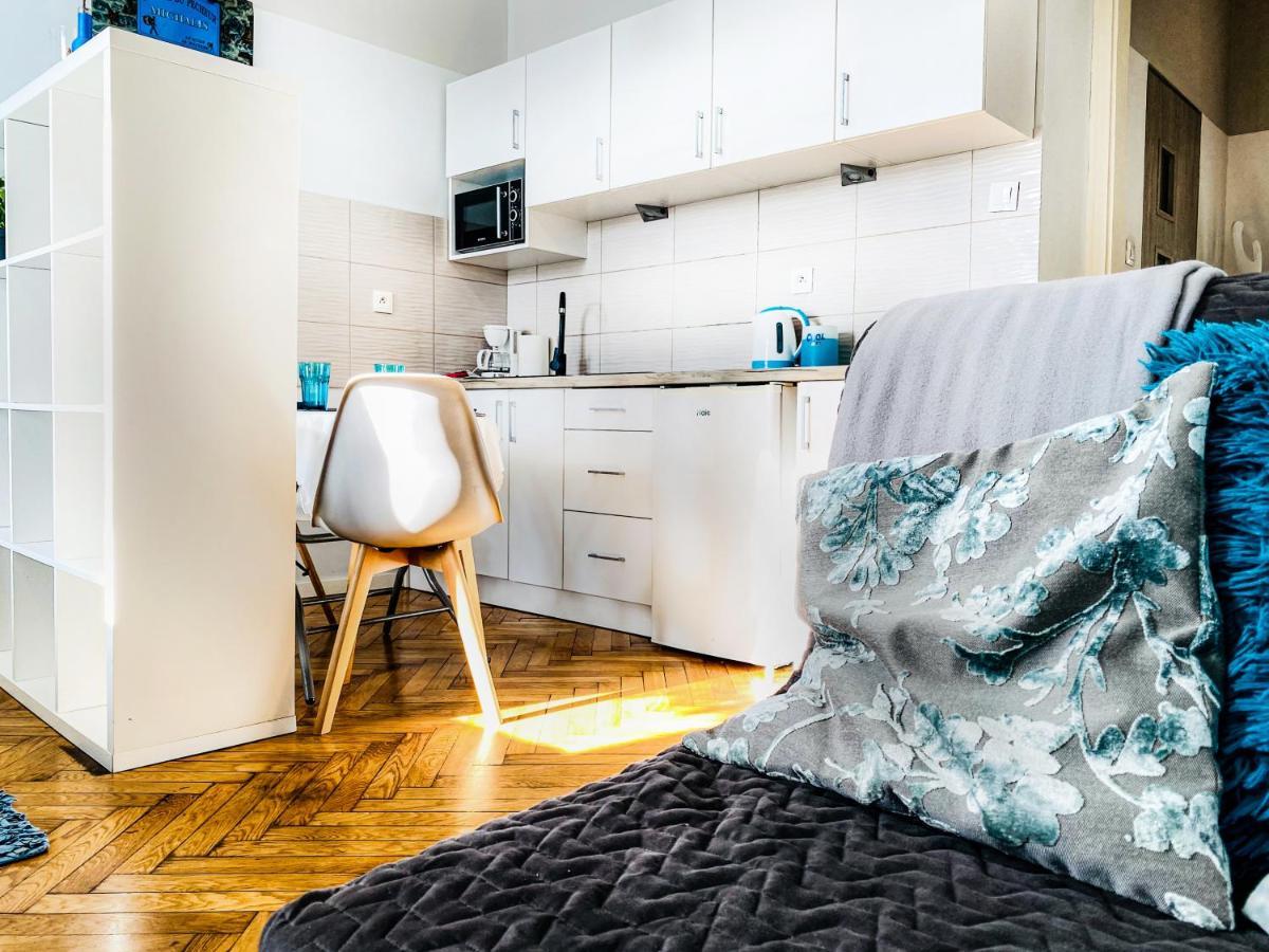 Apartment Next To Wawel Castle, Vistula River & Old Town Cracow Krakow Ngoại thất bức ảnh